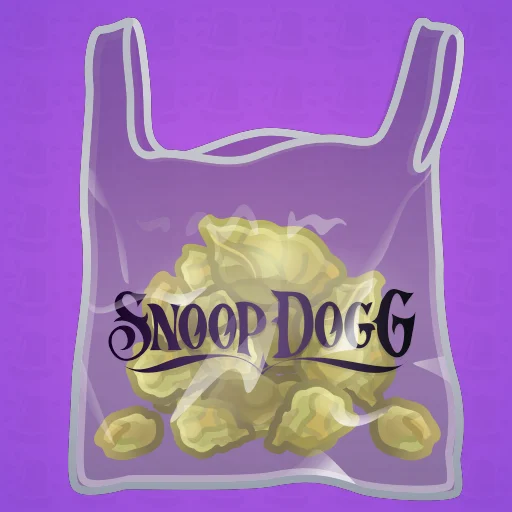 Swag Bag