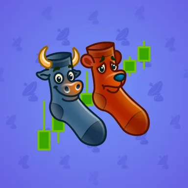 Fresh Socks