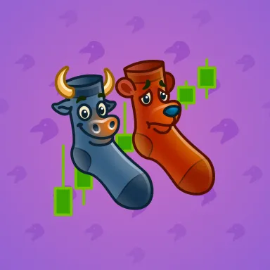 Fresh Socks