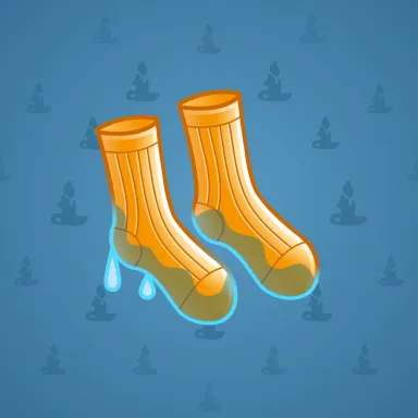 Fresh Socks