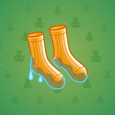 Fresh Socks