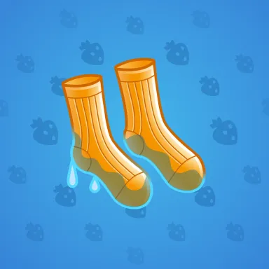 Fresh Socks