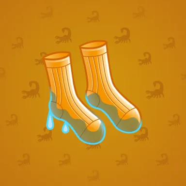 Fresh Socks