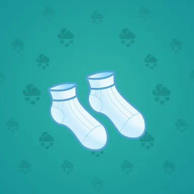 Fresh Socks