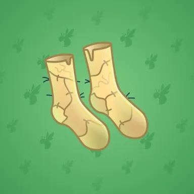 Fresh Socks