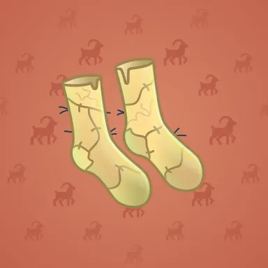 Fresh Socks