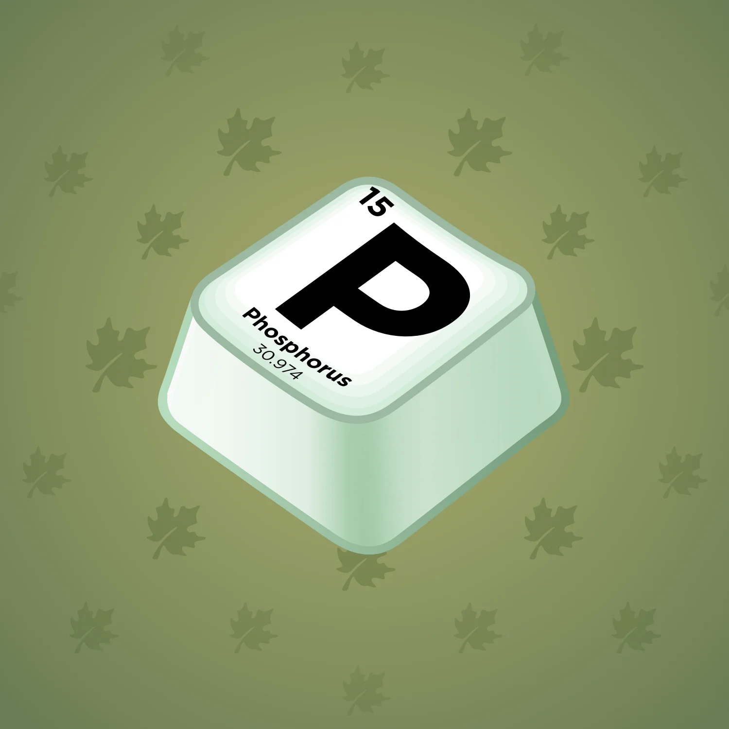 Input Key