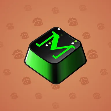 Input Key