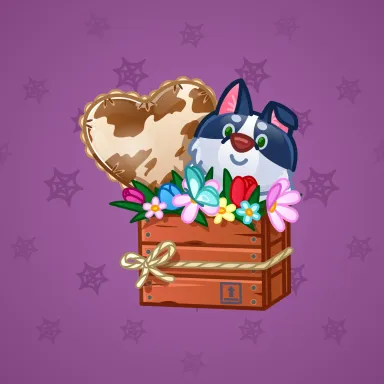 Joyful Bundle