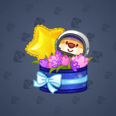 Joyful Bundle #53017