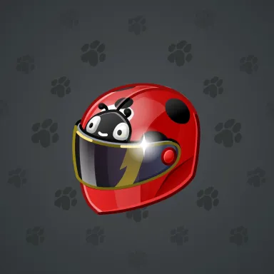 Neko Helmet