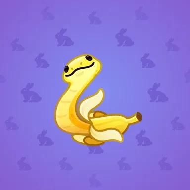 Pet Snake