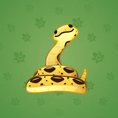 Pet Snake