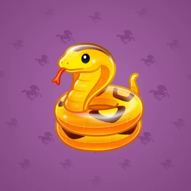 Pool Float