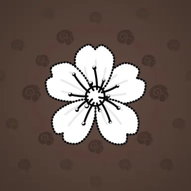 Sakura Flower #11195