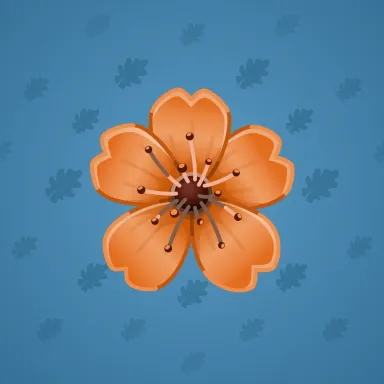Sakura Flower