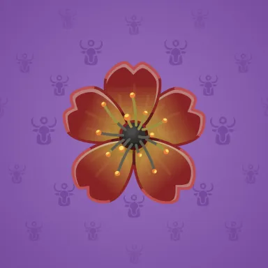 Sakura Flower