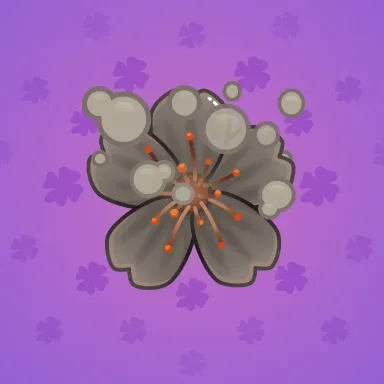 Sakura Flower #35266