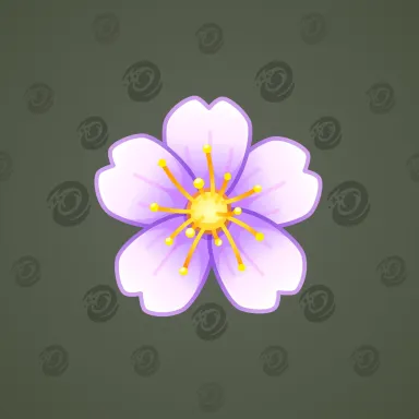 Sakura Flower