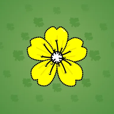 Sakura Flower