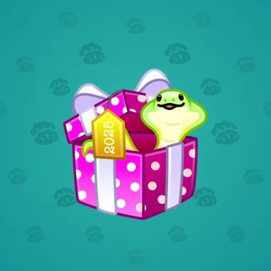 Snake Box #138470