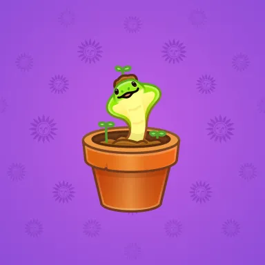 Snake Box #2178