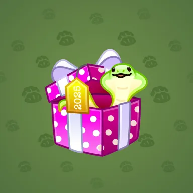 Snake Box #40687
