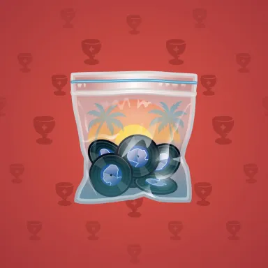 Swag Bag