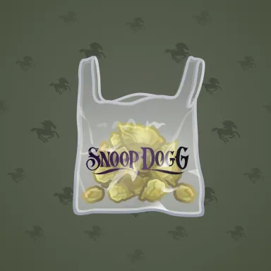 Swag Bag
