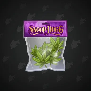 Swag Bag