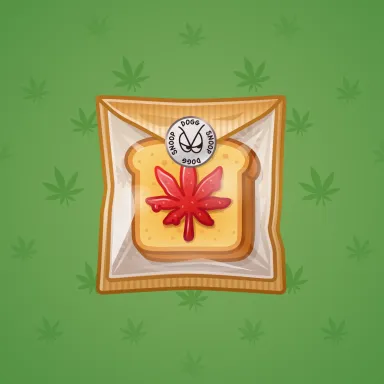 Swag Bag