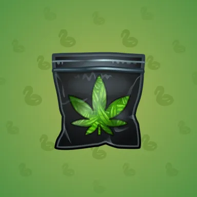 Swag Bag
