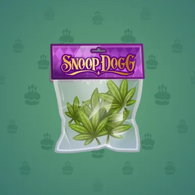 Swag Bag