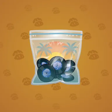 Swag Bag