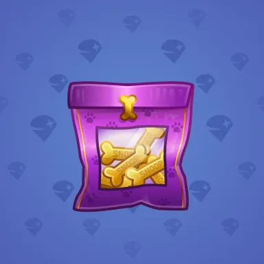 Swag Bag