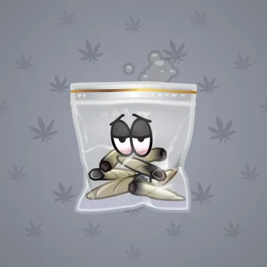 Swag Bag