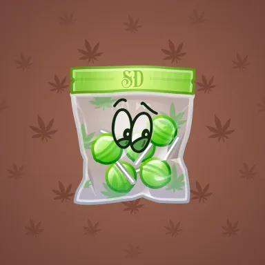 Swag Bag