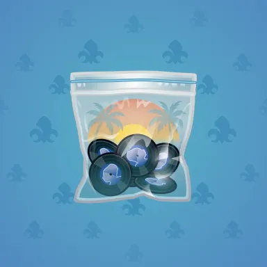 Swag Bag