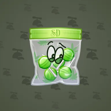 Swag Bag