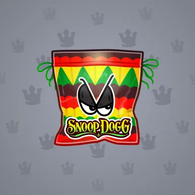 Swag Bag