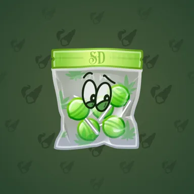 Swag Bag