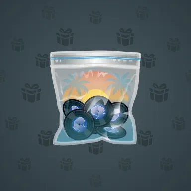 Swag Bag