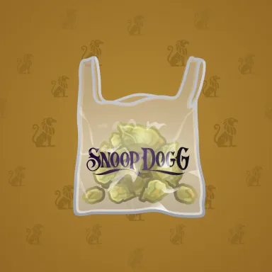 Swag Bag