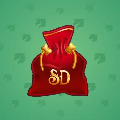Swag Bag