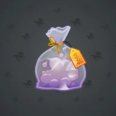 Swag Bag