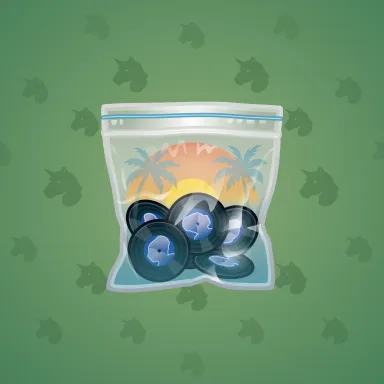 Swag Bag