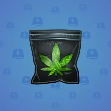 Swag Bag