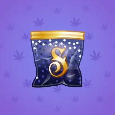 Swag Bag