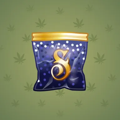 Swag Bag