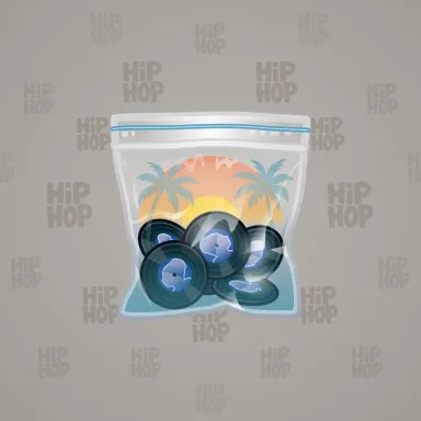 Swag Bag